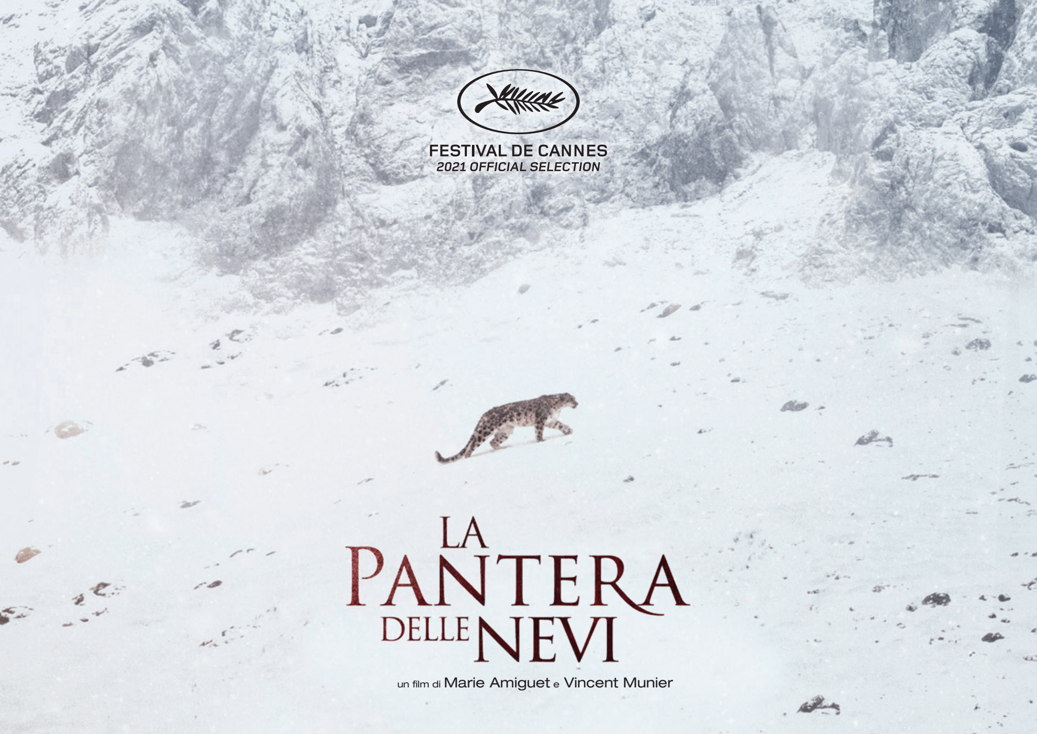 ‘La Pantera delle nevi’: uno sguardo sul mondo segreto della natura