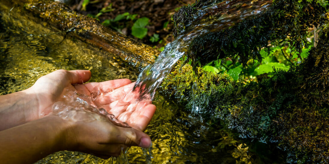 Manifestazione di interesse per il conferimento di un incarico di coordinatore scientifico del progetto Acqua sorgente