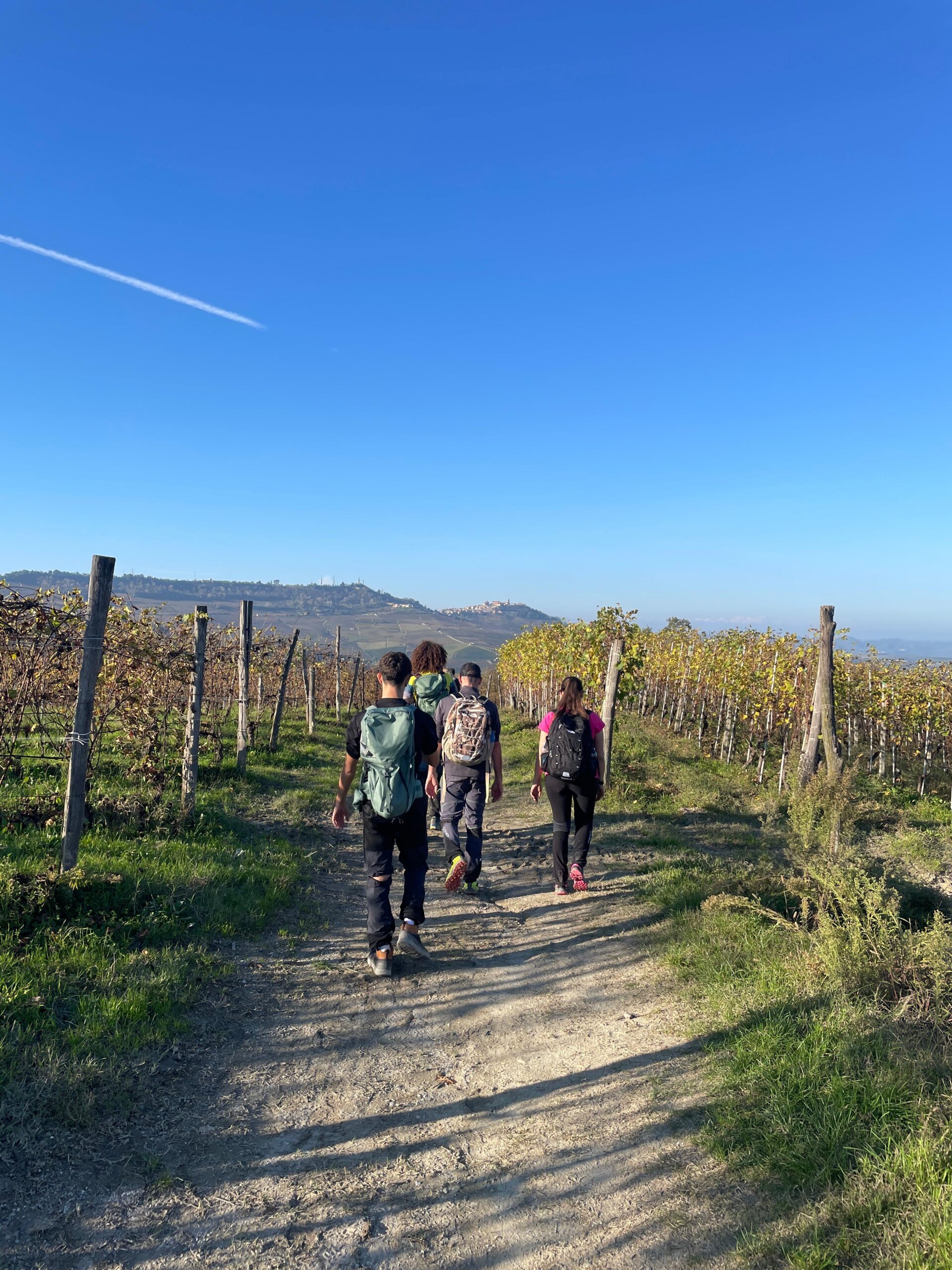 Mountain Erasmus Project